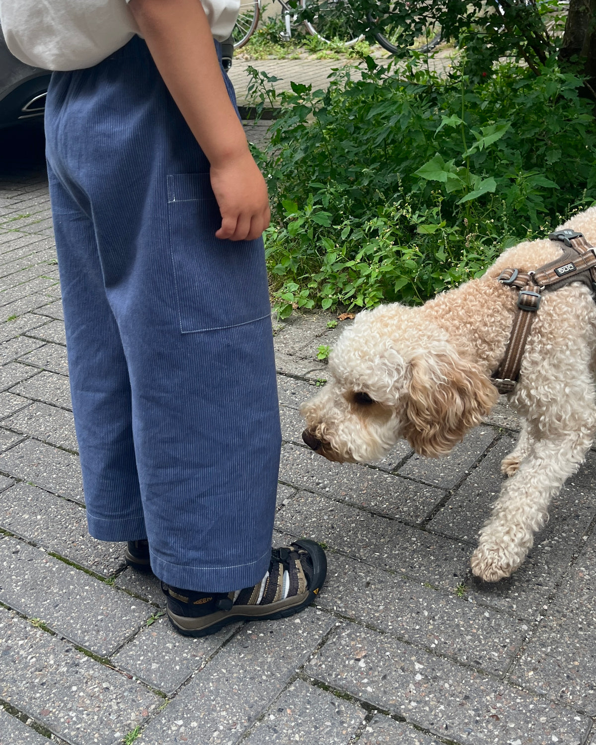 FO PANTS KIDS PDF